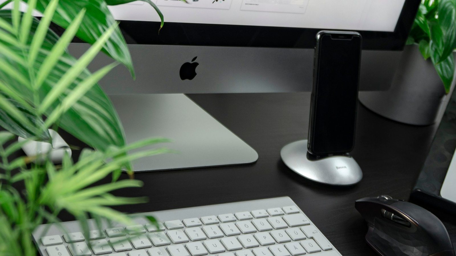 Cloidea web tasarım ve kurumsal web sitesi geliştirme